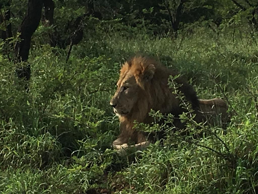 House 23 Ezulwini In Sodwana Bay Lodge Bagian luar foto