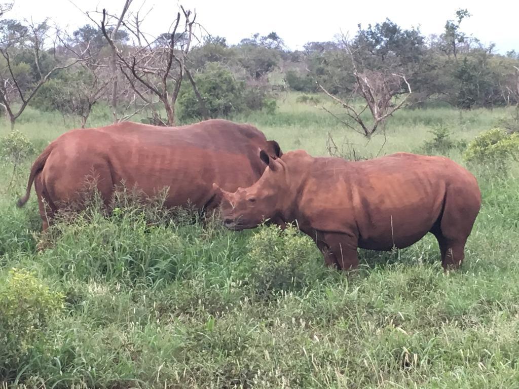 House 23 Ezulwini In Sodwana Bay Lodge Bagian luar foto