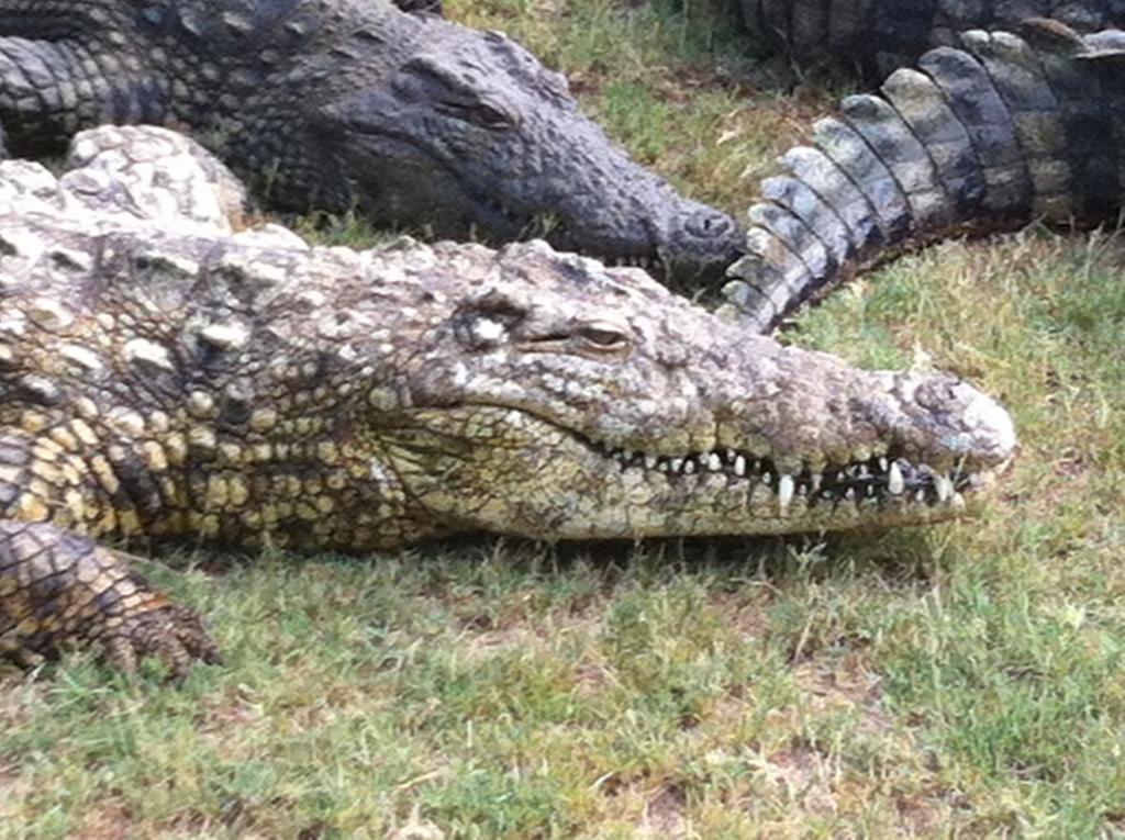 House 23 Ezulwini In Sodwana Bay Lodge Bagian luar foto