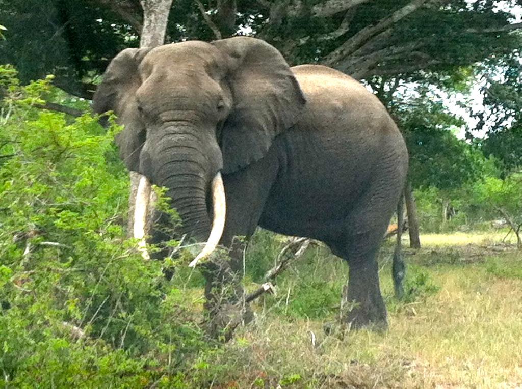 House 23 Ezulwini In Sodwana Bay Lodge Bagian luar foto